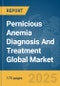 Pernicious Anemia Diagnosis And Treatment Global Market Report 2025 - Product Thumbnail Image