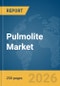 Pulmolite Market Report 2026: Epidemiology, Pipeline Analysis, Market Insights & Forecasts - Product Thumbnail Image