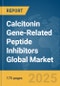 Calcitonin Gene-Related Peptide (CGRP) Inhibitors Global Market Report 2025 - Product Thumbnail Image