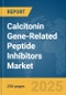 Calcitonin Gene-Related Peptide (CGRP) Inhibitors Market Report 2025 - Product Thumbnail Image