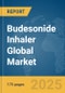 Budesonide Inhaler Global Market Report 2025 - Product Thumbnail Image