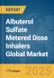 Albuterol Sulfate Metered Dose Inhalers Global Market Report 2025 - Product Thumbnail Image