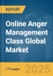 Online Anger Management Class Global Market Report 2025 - Product Thumbnail Image