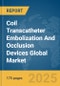 Coil Transcatheter Embolization And Occlusion Devices Global Market Report 2025 - Product Thumbnail Image