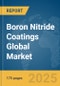 Boron Nitride Coatings Global Market Report 2025 - Product Thumbnail Image