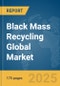 Black Mass Recycling Global Market Report 2025 - Product Thumbnail Image