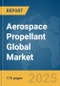 Aerospace Propellant Global Market Report 2025 - Product Thumbnail Image