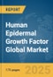 Human Epidermal Growth Factor Global Market Report 2025 - Product Thumbnail Image