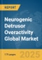 Neurogenic Detrusor Overactivity Global Market Report 2025 - Product Thumbnail Image