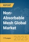Non-Absorbable Mesh Global Market Report 2025 - Product Thumbnail Image