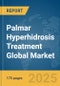 Palmar Hyperhidrosis Treatment Global Market Report 2025 - Product Thumbnail Image