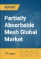 Partially Absorbable Mesh Global Market Report 2025 - Product Thumbnail Image