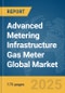 Advanced Metering Infrastructure (AMI) Gas Meter Global Market Report 2025 - Product Thumbnail Image