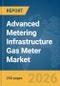 Advanced Metering Infrastructure (AMI) Gas Meter Market Report 2026 - Product Thumbnail Image