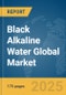 Black Alkaline Water Global Market Report 2025 - Product Thumbnail Image