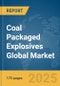 Coal Packaged Explosives Global Market Report 2025 - Product Thumbnail Image