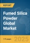 Fumed Silica Powder Global Market Report 2025 - Product Thumbnail Image