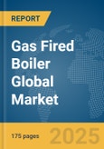 Gas Fired Boiler Global Market Report 2025- Product Image