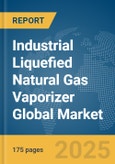 Industrial Liquefied Natural Gas (LNG) Vaporizer Global Market Report 2025- Product Image