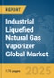 Industrial Liquefied Natural Gas (LNG) Vaporizer Global Market Report 2025 - Product Thumbnail Image
