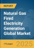 Natural Gas Fired Electricity Generation Global Market Report 2025- Product Image