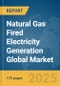 Natural Gas Fired Electricity Generation Global Market Report 2025 - Product Thumbnail Image