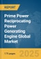 Prime Power Reciprocating Power Generating Engine Global Market Report 2025 - Product Thumbnail Image