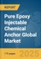 Pure Epoxy Injectable Chemical Anchor Global Market Report 2025 - Product Thumbnail Image