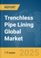 Trenchless Pipe Lining Global Market Report 2025 - Product Thumbnail Image