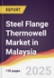 Steel Flange Thermowell Market in Malaysia - Product Image
