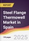 Steel Flange Thermowell Market in Spain - Product Image