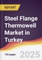 Steel Flange Thermowell Market in Turkey - Product Image
