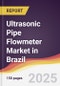 Ultrasonic Pipe Flowmeter Market in Brazil - Product Thumbnail Image