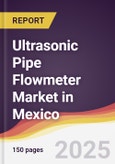 Ultrasonic Pipe Flowmeter Market in Mexico- Product Image