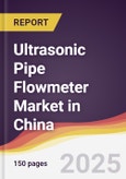 Ultrasonic Pipe Flowmeter Market in China- Product Image