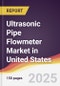 Ultrasonic Pipe Flowmeter Market in United States - Product Image