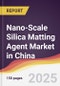 Nano-Scale Silica Matting Agent Market in China - Product Thumbnail Image
