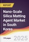 Nano-Scale Silica Matting Agent Market in South Korea - Product Thumbnail Image