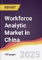 Workforce Analytic Market in China - Product Image