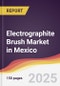Electrographite Brush Market in Mexico - Product Image