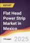 Flat Head Power Strip Market in Mexico - Product Thumbnail Image