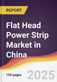 Flat Head Power Strip Market in China- Product Image