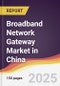 Broadband Network Gateway Market in China - Product Thumbnail Image