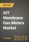 IOT Membrane Gas Meters Market Outlook 2025-2034: Market Share, and Growth Analysis By Product Type (Smart Gas Meters, Digital Gas Meters), By Application, By End User, By Technology - Product Thumbnail Image