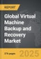 Virtual Machine Backup and Recovery - Global Strategic Business Report - Product Thumbnail Image