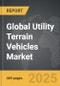 Utility Terrain Vehicles (UTV) - Global Strategic Business Report - Product Thumbnail Image