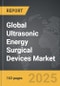 Ultrasonic Energy Surgical Devices - Global Strategic Business Report - Product Thumbnail Image