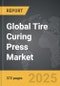 Tire Curing Press - Global Strategic Business Report - Product Thumbnail Image