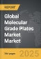 Molecular Grade Plates Market - Global Strategic Business Report - Product Thumbnail Image