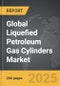 Liquefied Petroleum Gas Cylinders - Global Strategic Business Report - Product Thumbnail Image